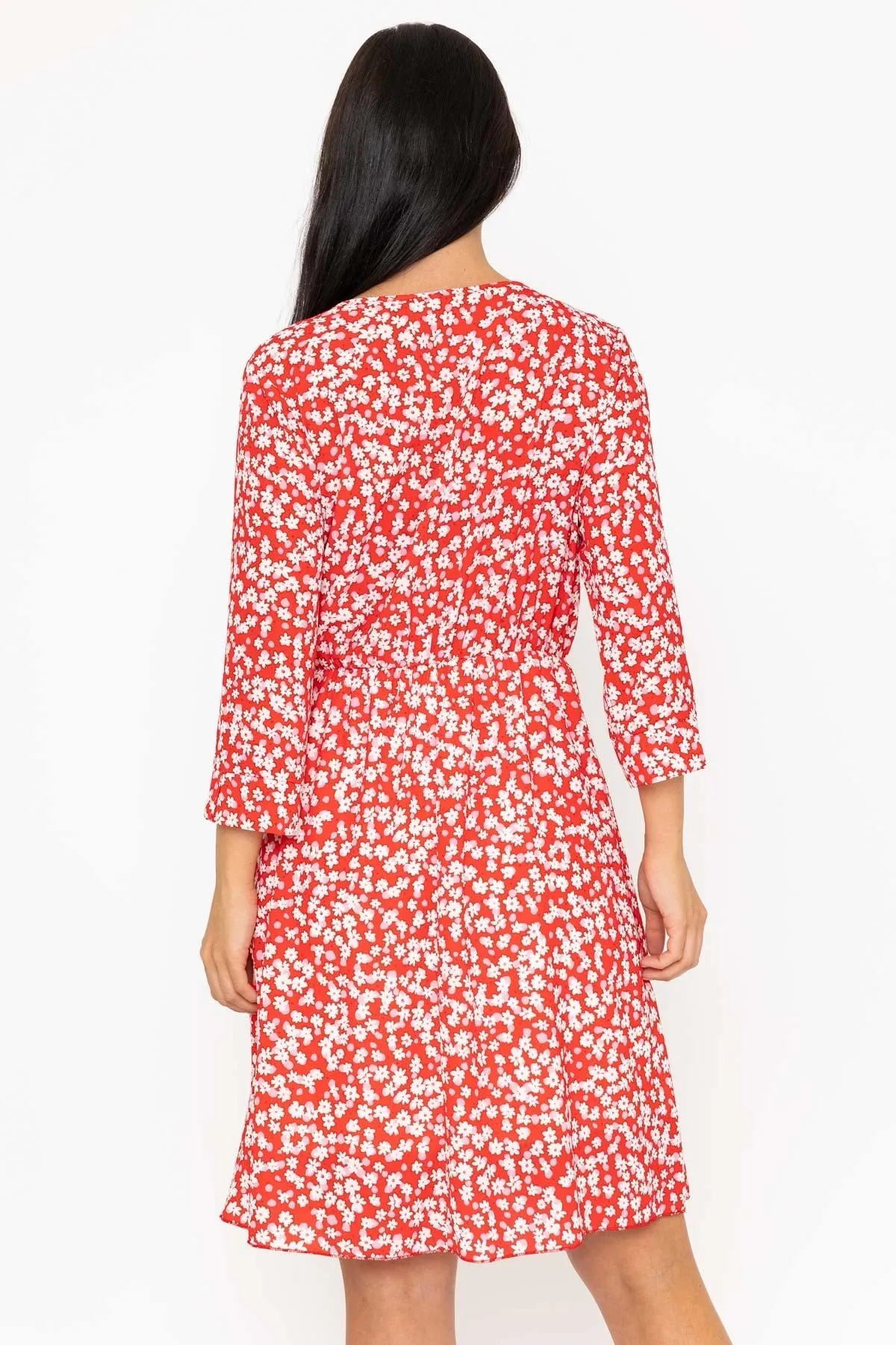 Carly Dress in Red Print