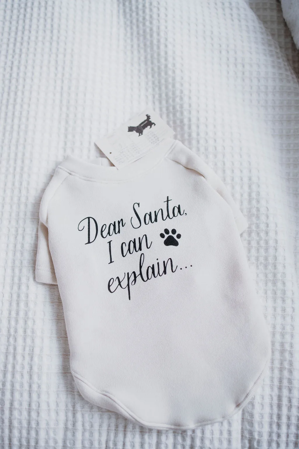 Dear Santa I Can Explain Pet Sweatshirt