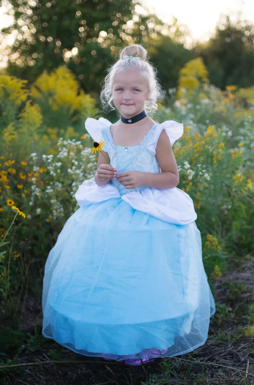 Deluxe Cinderella Dress