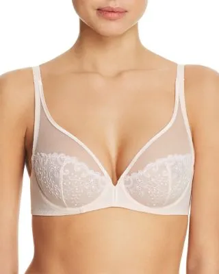 Délice Sheer Plunge Underwire Bra