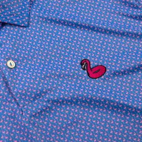 Flamingo Floatie Polo