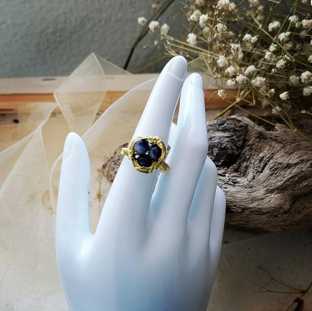 Wire Wrapped Ring - Lapis Nest