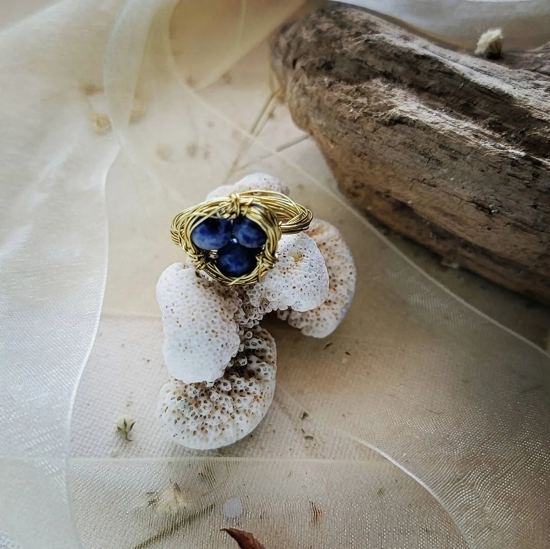 Wire Wrapped Ring - Lapis Nest