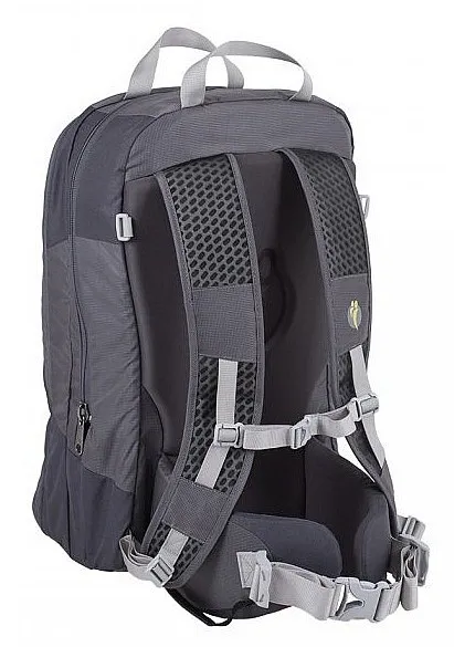 kid carrier Littlelife Traveller S4 - Gray