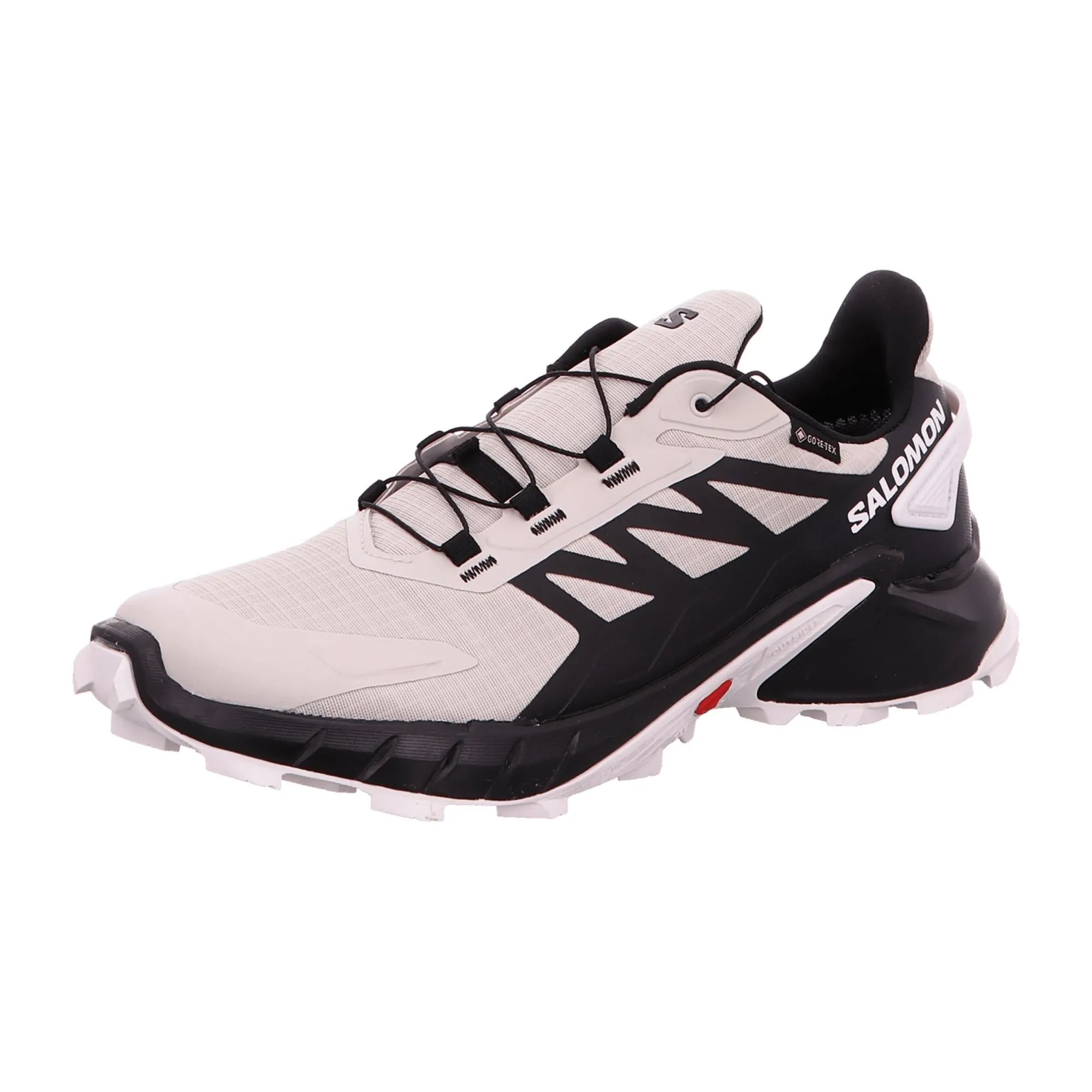 Salomon Sport for men, gray, shoes